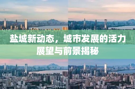 鹽城新動(dòng)態(tài)，城市發(fā)展的活力展望與前景揭秘