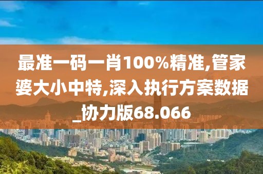 最準一碼一肖100%精準,管家婆大小中特,深入執行方案數據_協力版68.066