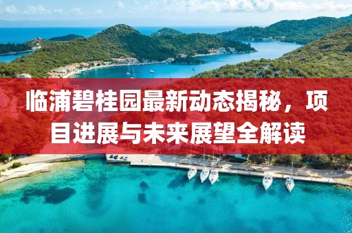 臨浦碧桂園最新動態揭秘，項目進展與未來展望全解讀
