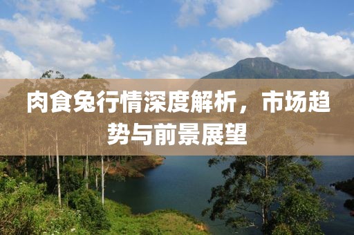 肉食兔行情深度解析，市場(chǎng)趨勢(shì)與前景展望