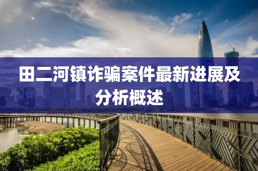 田二河鎮詐騙案件最新進展及分析概述
