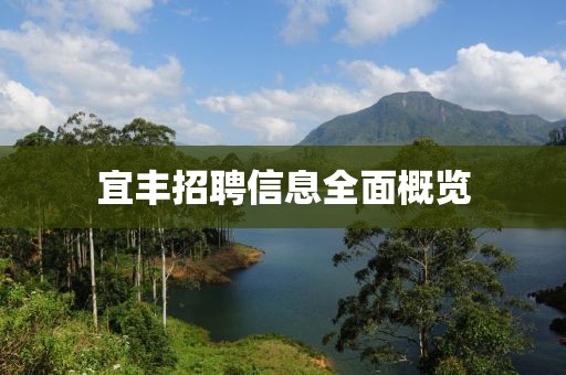 宜豐招聘信息全面概覽