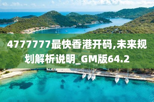 4777777最快香港開碼,未來規(guī)劃解析說明_GM版64.2