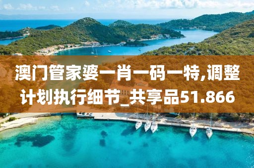 澳門管家婆一肖一碼一特,調整計劃執行細節_共享品51.866