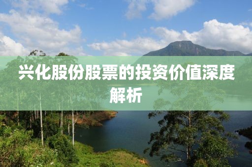 興化股份股票的投資價(jià)值深度解析