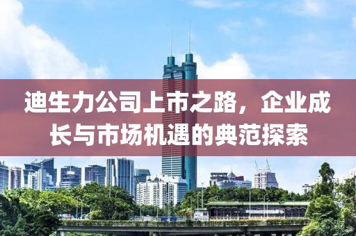 迪生力公司上市之路，企業(yè)成長與市場機遇的典范探索