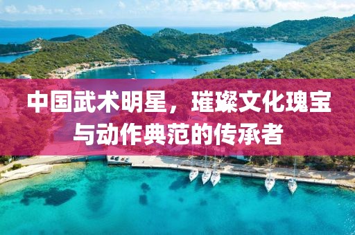 中國(guó)武術(shù)明星，璀璨文化瑰寶與動(dòng)作典范的傳承者