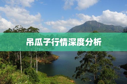 吊瓜子行情深度分析
