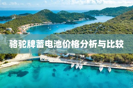 駱駝牌蓄電池價格分析與比較