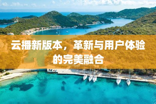 云播新版本，革新與用戶體驗的完美融合