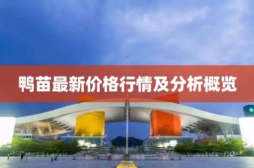 鴨苗最新價(jià)格行情及分析概覽