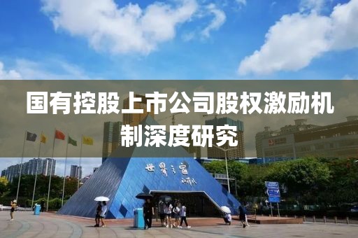 國有控股上市公司股權激勵機制深度研究