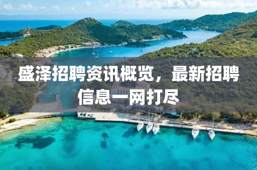 盛澤招聘資訊概覽，最新招聘信息一網打盡