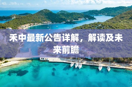 禾中最新公告詳解，解讀及未來前瞻