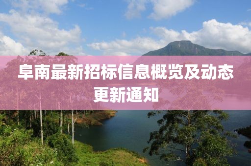 阜南最新招標信息概覽及動態更新通知