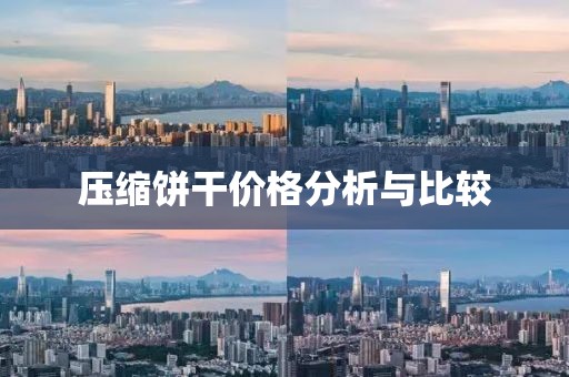 壓縮餅干價格分析與比較