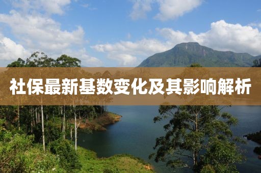 社保最新基數變化及其影響解析