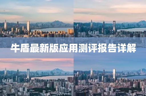 牛盾最新版應用測評報告詳解