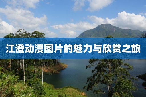 江澄動漫圖片的魅力與欣賞之旅