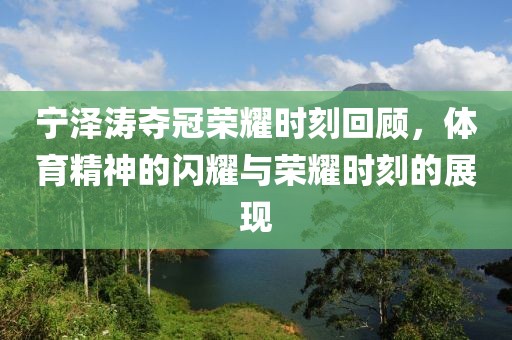 寧澤濤奪冠榮耀時刻回顧，體育精神的閃耀與榮耀時刻的展現