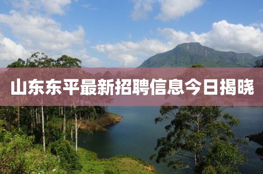 山東東平最新招聘信息今日揭曉
