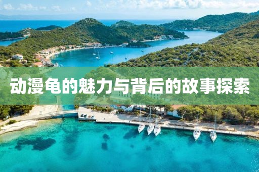 動漫龜的魅力與背后的故事探索