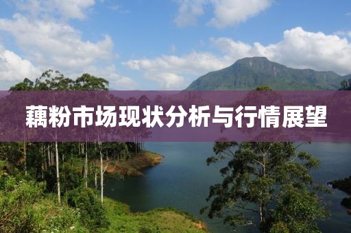 藕粉市場現狀分析與行情展望