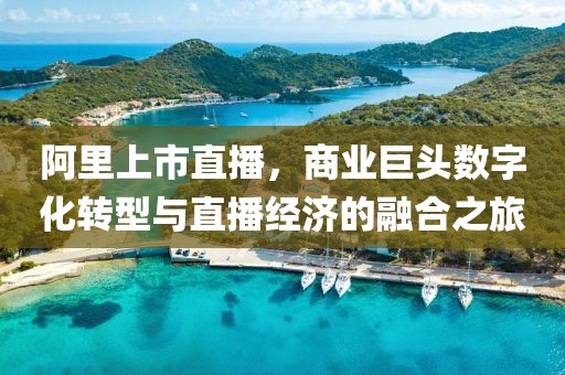 阿里上市直播，商業巨頭數字化轉型與直播經濟的融合之旅