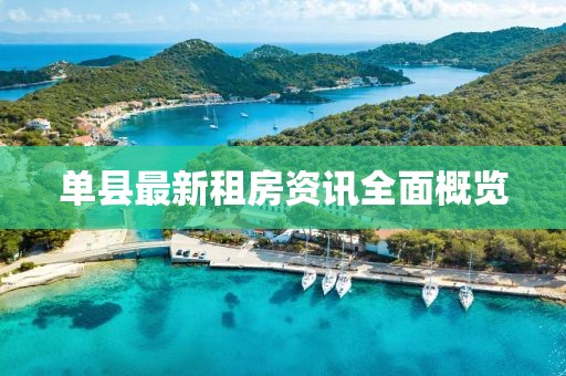 單縣最新租房資訊全面概覽