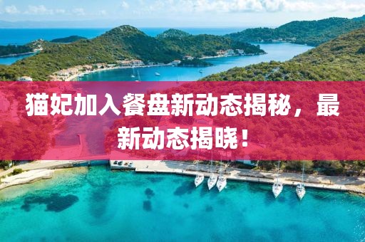 貓妃加入餐盤新動態揭秘，最新動態揭曉！