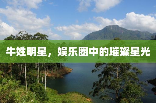牛姓明星，娛樂圈中的璀璨星光