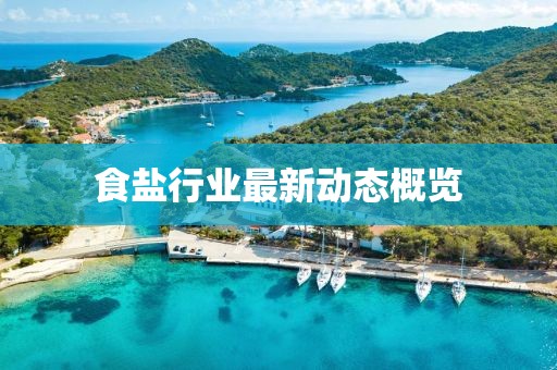 食鹽行業最新動態概覽