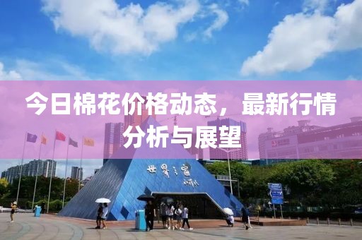 今日棉花價格動態，最新行情分析與展望