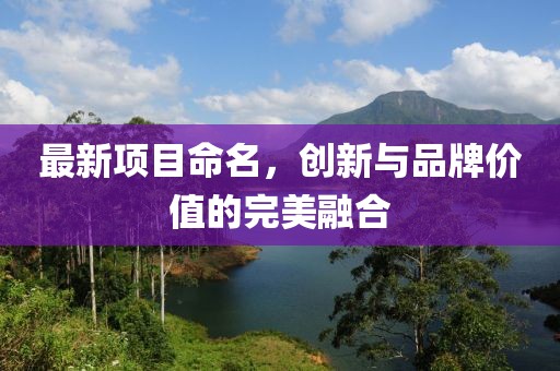 最新項目命名，創新與品牌價值的完美融合