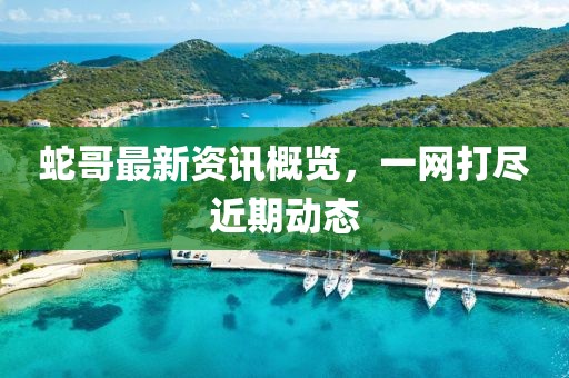 蛇哥最新資訊概覽，一網打盡近期動態