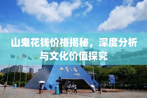 山鬼花錢價格揭秘，深度分析與文化價值探究