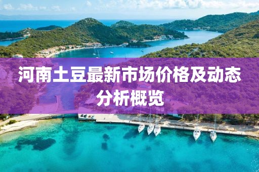 河南土豆最新市場價(jià)格及動態(tài)分析概覽