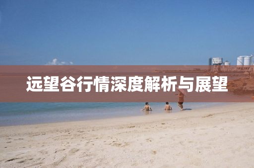 遠望谷行情深度解析與展望