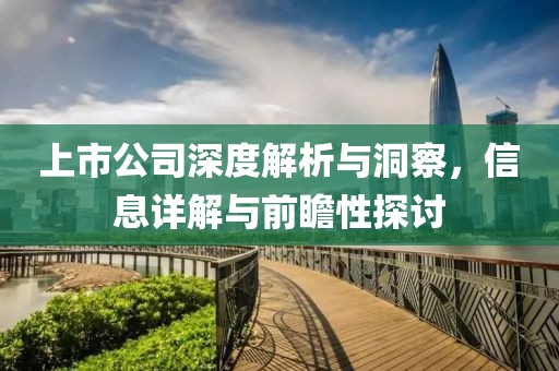 上市公司深度解析與洞察，信息詳解與前瞻性探討