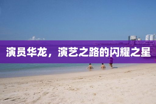 演員華龍，演藝之路的閃耀之星