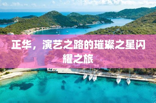 正華，演藝之路的璀璨之星閃耀之旅