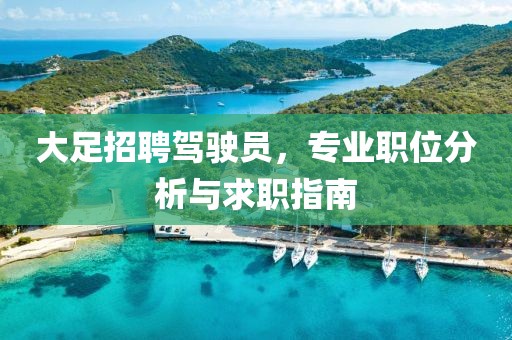 大足招聘駕駛員，專業職位分析與求職指南