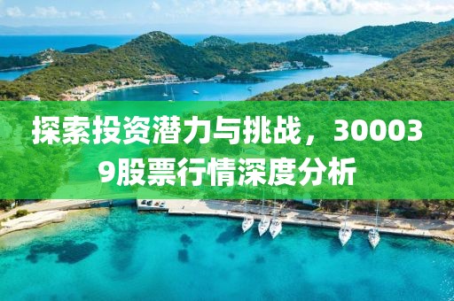 探索投資潛力與挑戰，300039股票行情深度分析