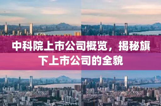 中科院上市公司概覽，揭秘旗下上市公司的全貌