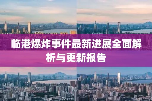 臨港爆炸事件最新進(jìn)展全面解析與更新報(bào)告