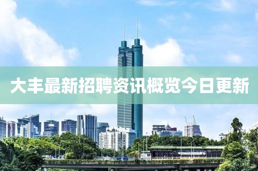大豐最新招聘資訊概覽今日更新