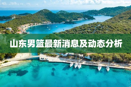 山東男籃最新消息及動態分析