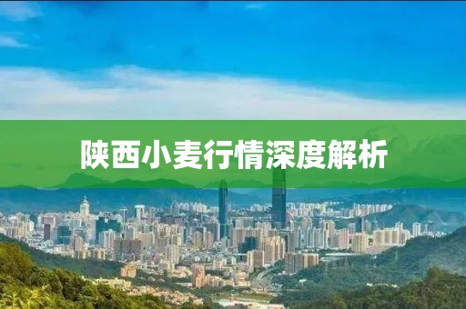 陜西小麥行情深度解析