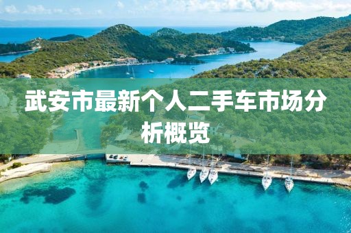 武安市最新個人二手車市場分析概覽