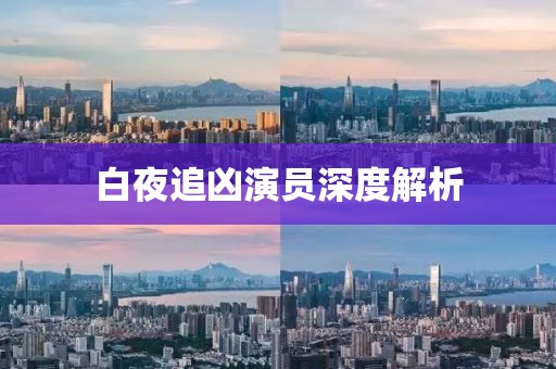 白夜追兇演員深度解析